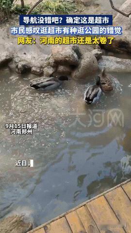 解释不清了！河南郑州，男子带朋友去逛超市，可到超市后朋友都懵了，反复问是不是走错