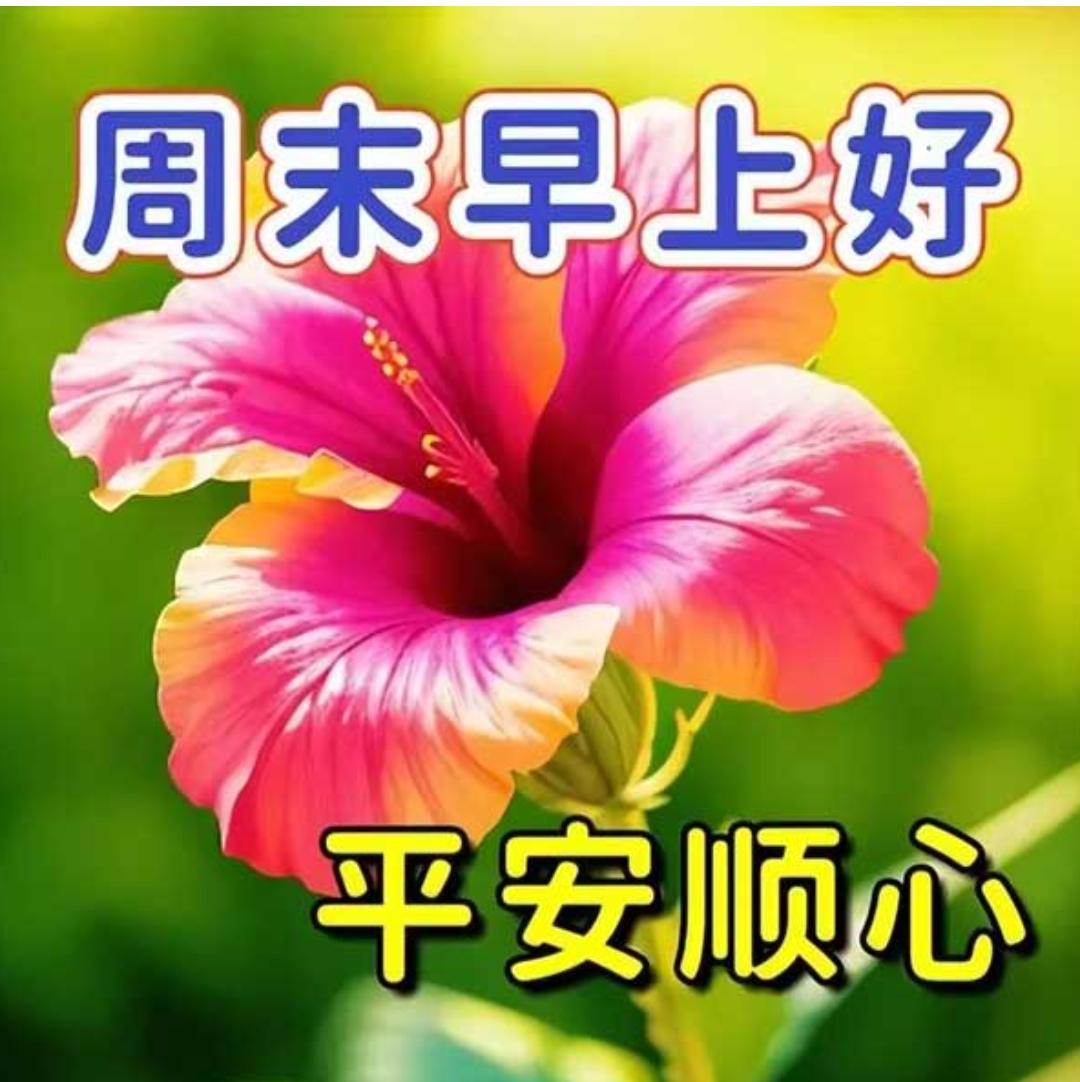 周末清晨道声早，四季轮回好运到；无论朋友在何处，要把自己照顾好；春去夏来