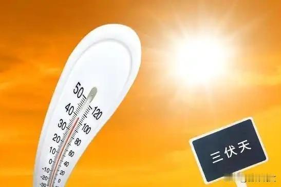 老农家常实话！中伏吃饭别瞎吃，2样少吃3样多吃，安稳舒服过夏家人们有没