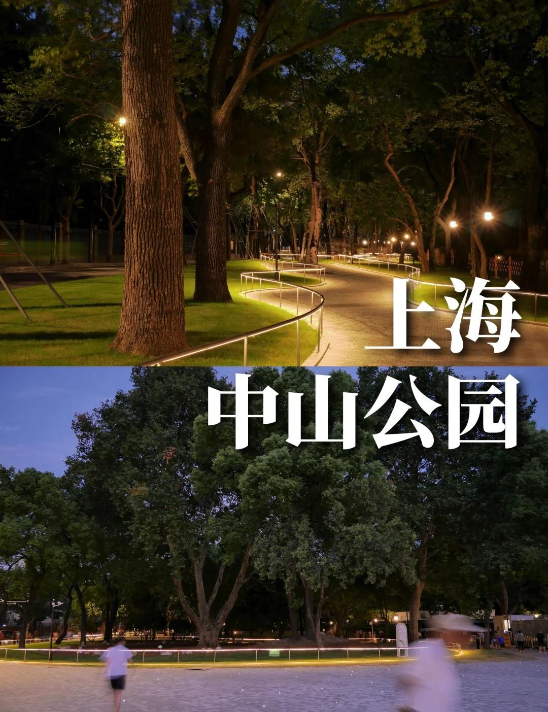 🇨🇳上海中山公园889/1001改造思路：设计师在尊重场地内每一棵树，
