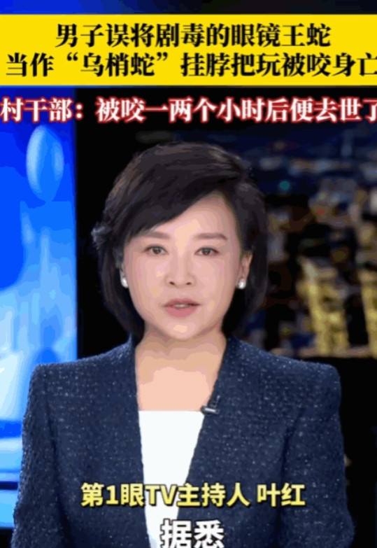“这不是找死吗！”近日贵州，男子收割稻谷，发现有条蛇，他把蛇抓住了，弟弟看到了，