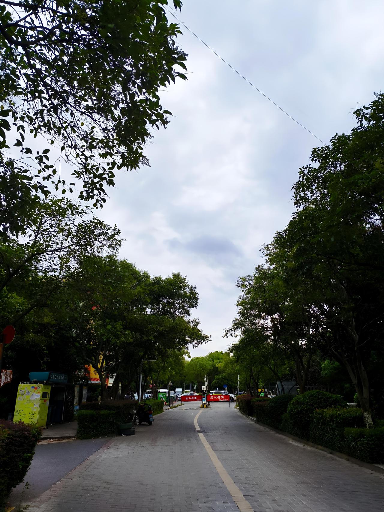 台风巴威这威力可真不小，都影响到南京了。今天南京又是风又是雨的，虽说雨还不算大，