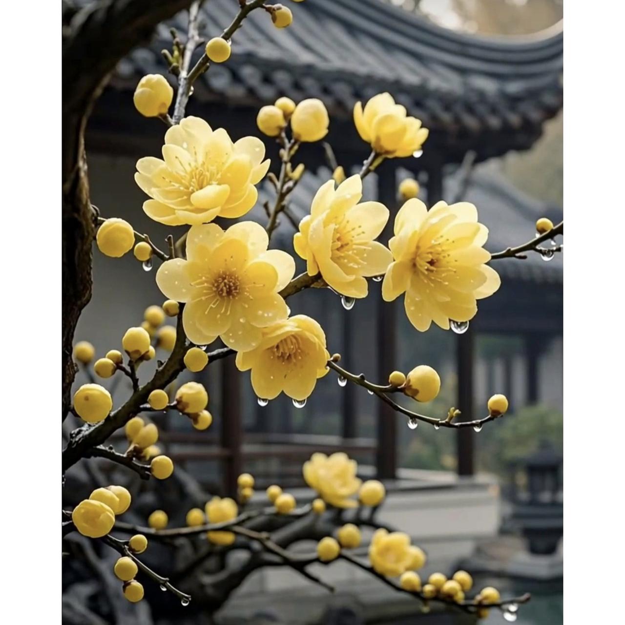 28年前，在四川泸州一家公交商场里，女老板吴某萍突然不见了，这一去就再也没回