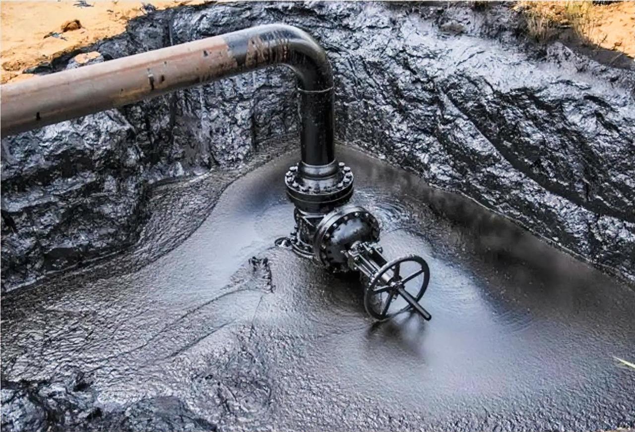 我仔细扒了一下数据，发现了一个惊人的事实：委内瑞拉的石油，简直是为美国量身定