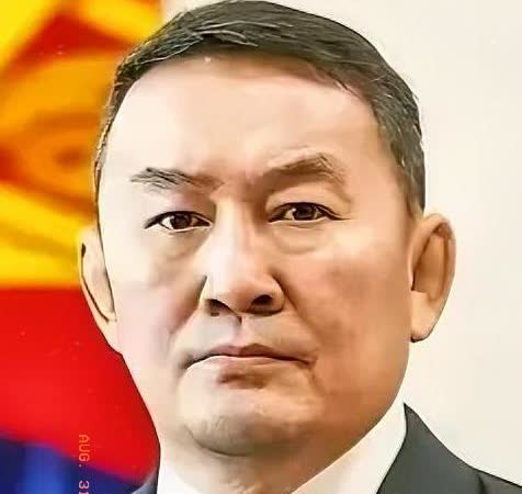 我有种预感，蒙古国这次来天津，不单是为了开会。总统呼日勒苏赫一下