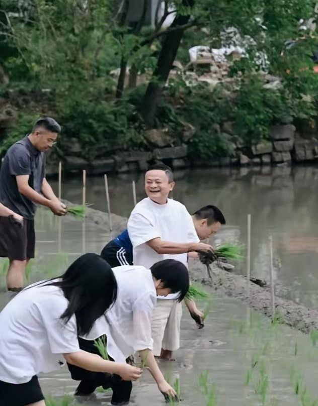 马云是在体验插秧吗？没有一点架子太接地气