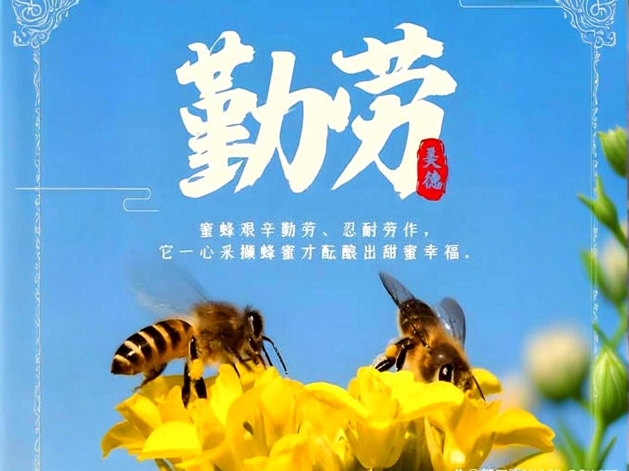 为啥浙江人好像天生就不怕累？我以前还真没想明白，直到听到他们家里那几句“劝人语