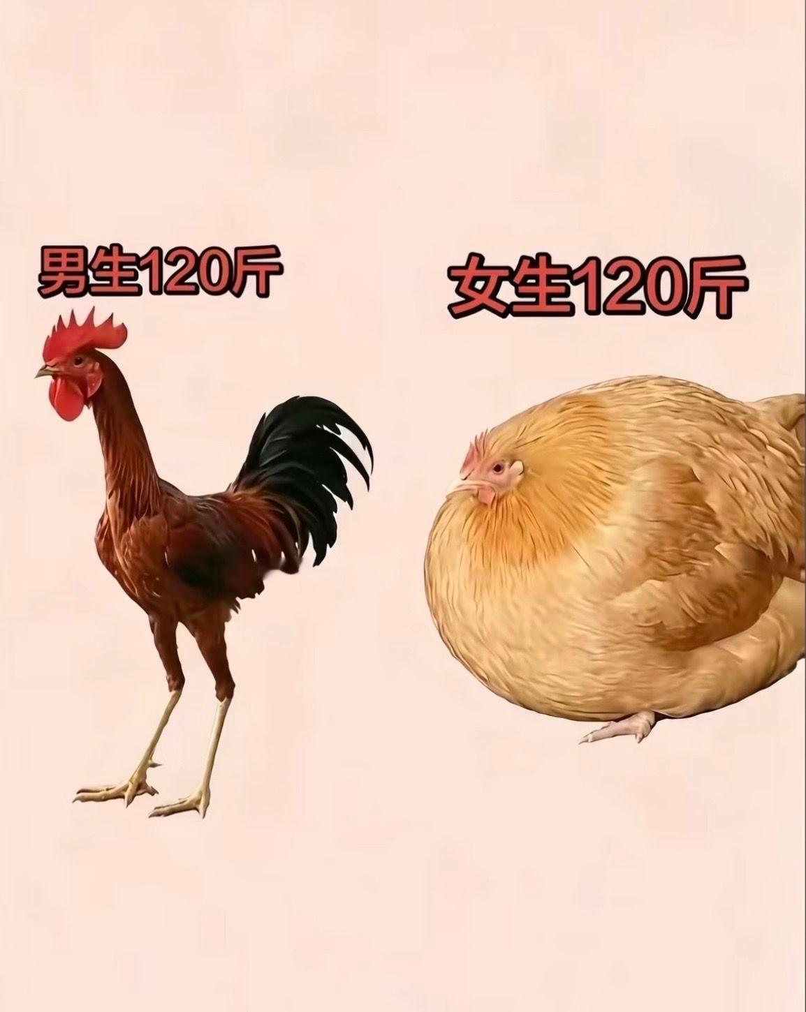 《世界上最不公平的两件事》太真实了哈哈哈哈哈​​​