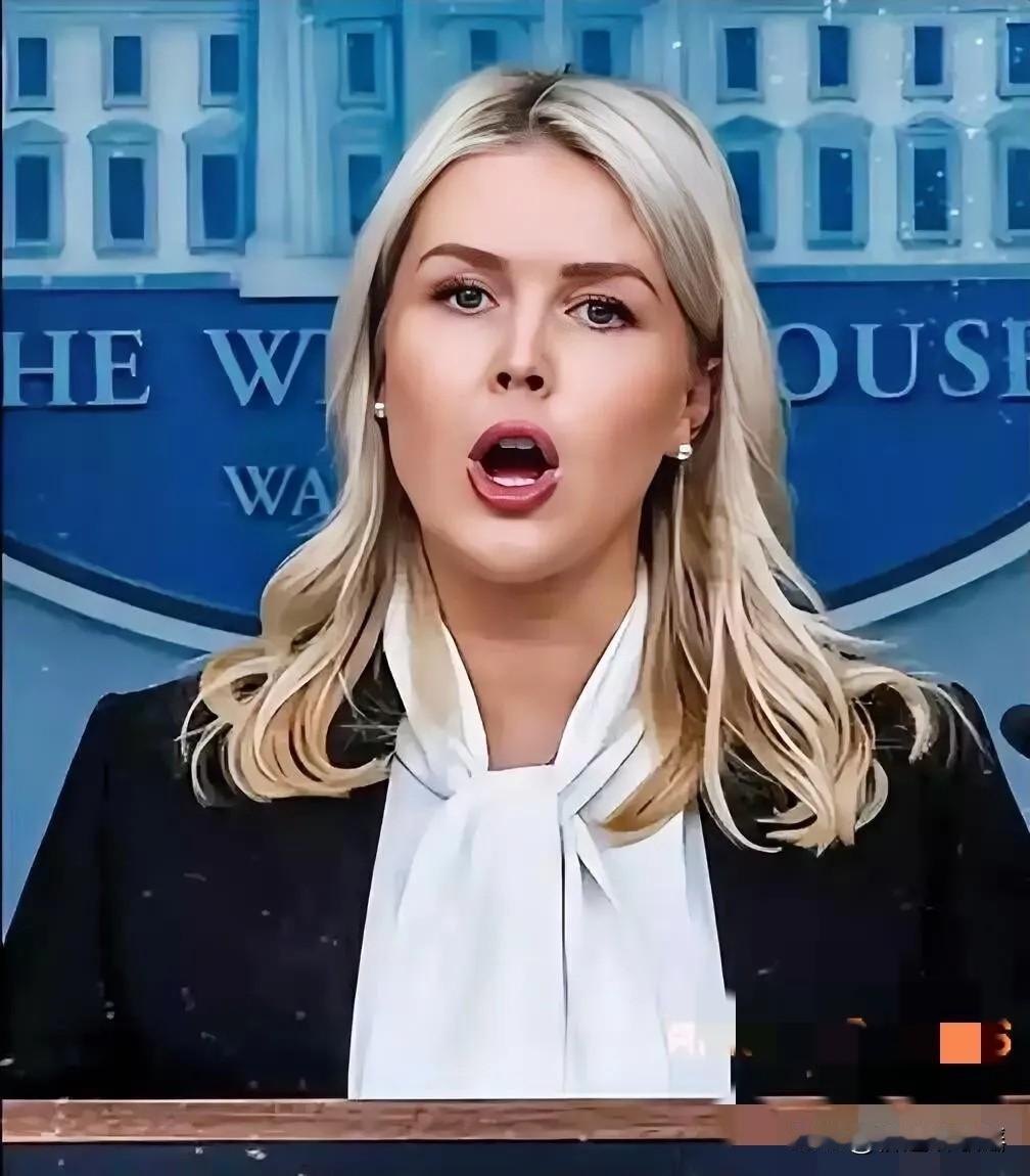 又怀上了。白宫美女发言人莱维特周五大大方方表示：已怀有二胎，将于不久暂别发言人位