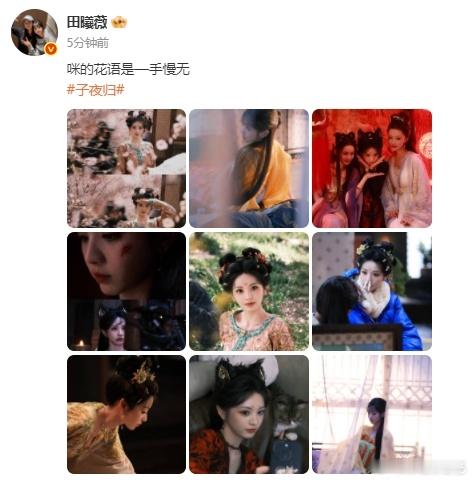 田曦薇猫与蛇田曦薇猫与蛇简直就是相爱相杀的一对闺蜜。小猫咪的花语是手慢无，原