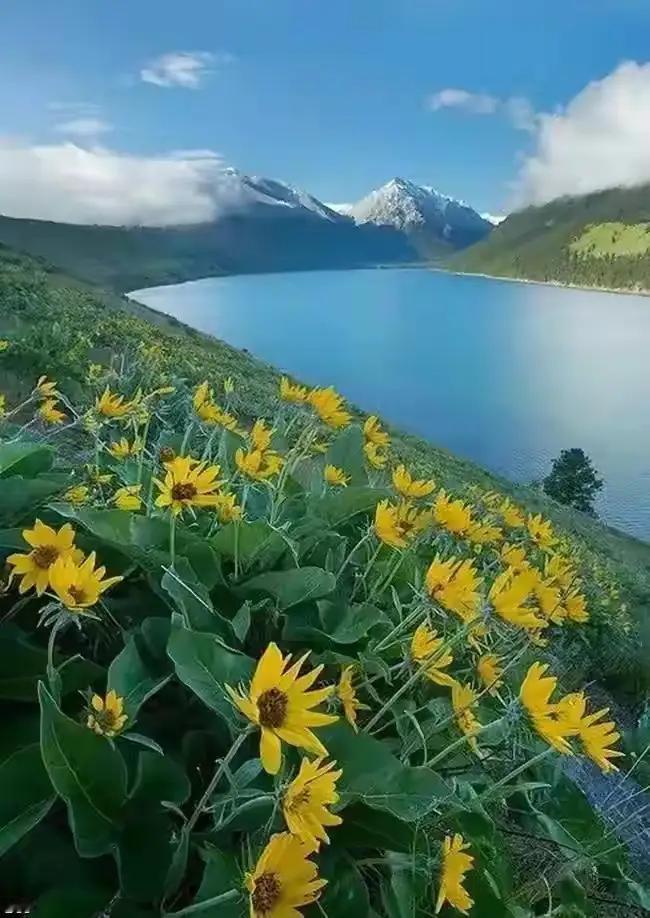 易中天说:曹操找的少妇或者中年妇女，都是大户人家或者权贵人家的人，他从来都