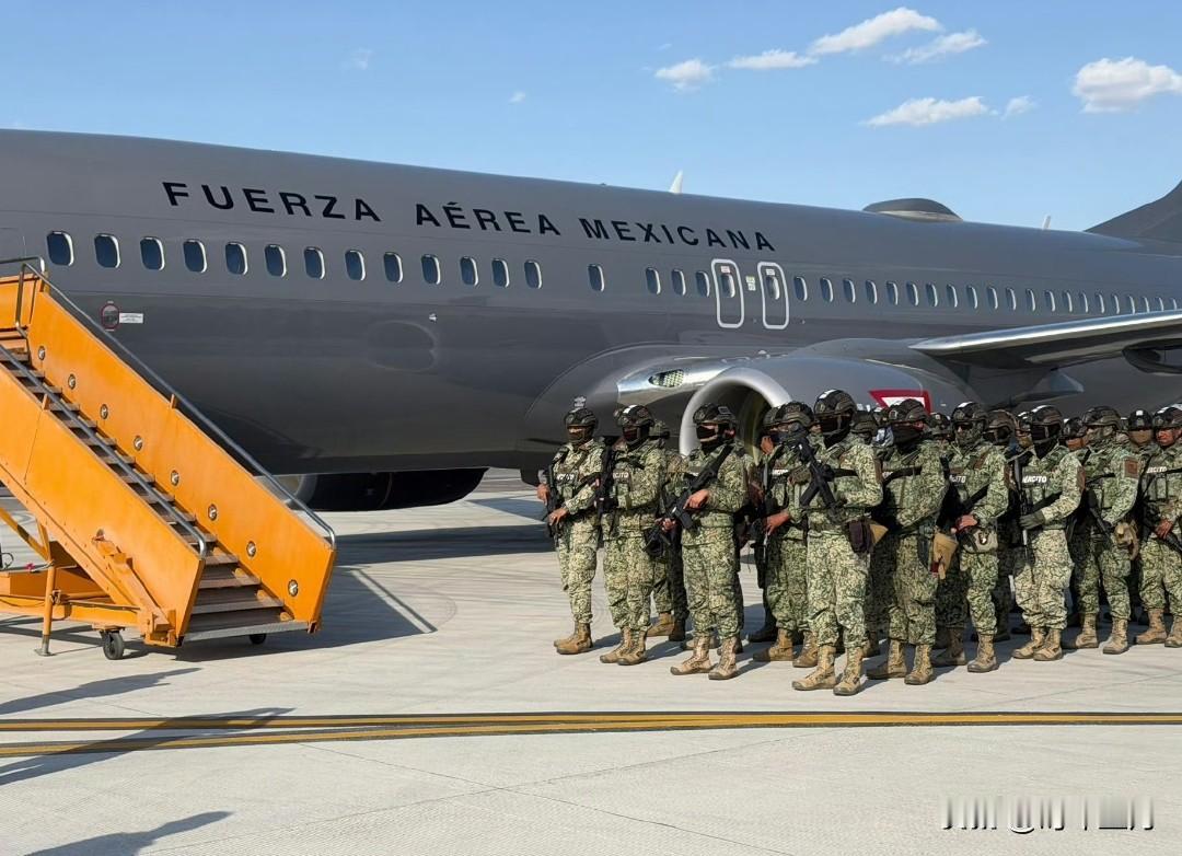 墨西哥军方开始紧急调兵。这就更不像是墨西哥政府做出击毙门乔的决策。如果墨