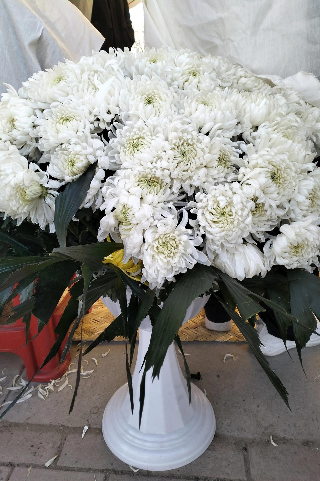 怪不得一个多月，没见拍抖音的那个同学了，回娘家一打听才知道，一个多月前就去世了！