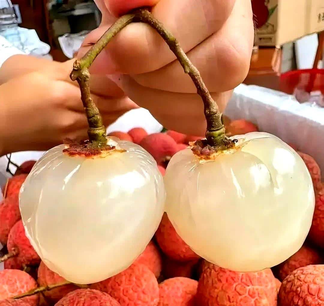 今年终于实现荔枝自由一个坏消息，一个好消息坏消息是荔枝价格暴跌7