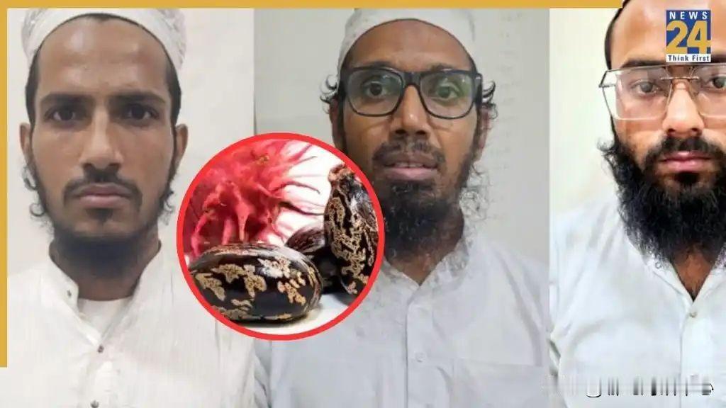 印度又在睁着眼睛说瞎话！！！说逮捕的恐怖分子曾在中国留过学。古吉拉特邦反恐小组