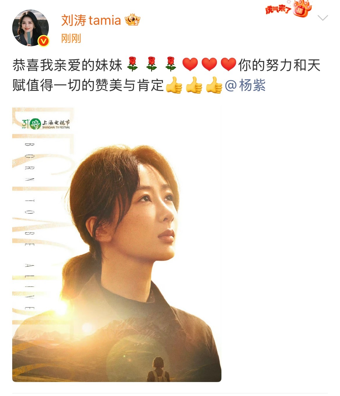 们欢乐颂刘涛恭喜杨紫刘涛恭喜我亲爱的妹妹