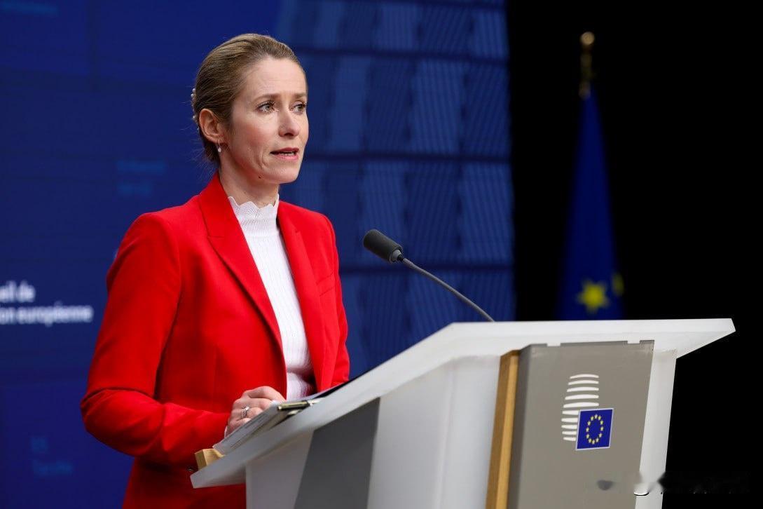 🇪🇺欧盟外交事务负责人卡娅·卡拉斯这两天公开表示：欧洲得赶紧把防务能力搞起来