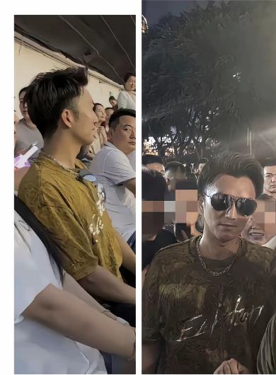 王菲懵了，张柏芝懵了，就连谢霆锋也懵了！我都蒙了，不是她们懵了。谁不迷糊