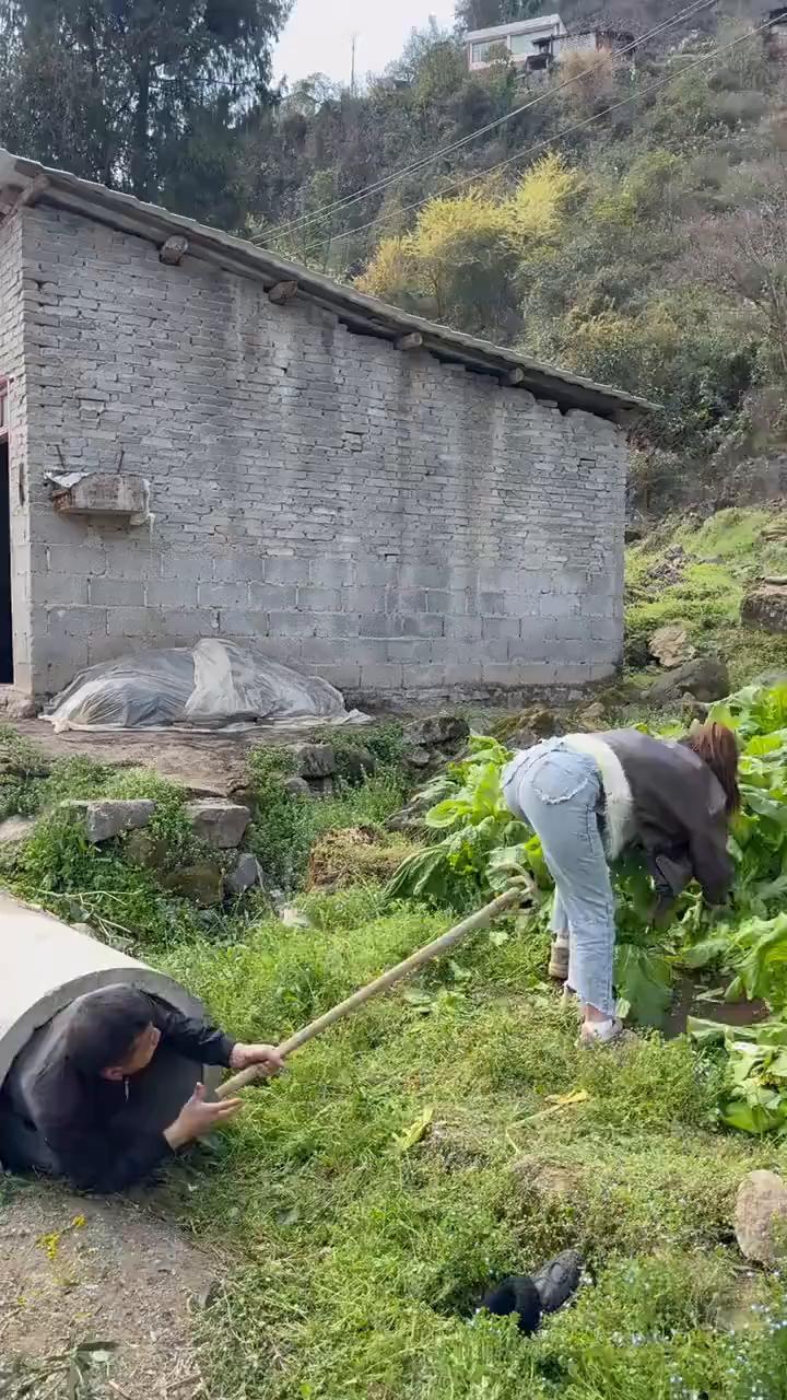 乡村生活。纯手工浇灌回归自然，感受田园的美好。