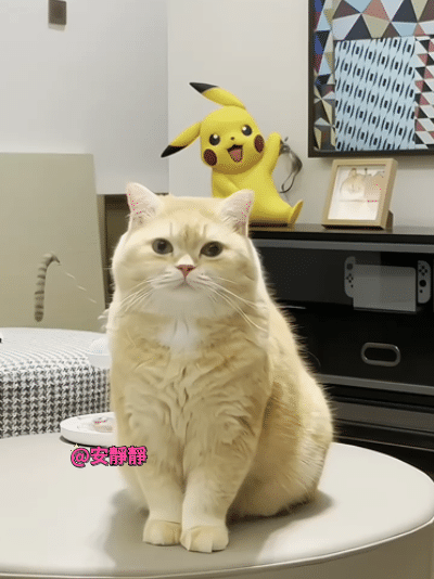 360度无死角，做核酸标准口型！