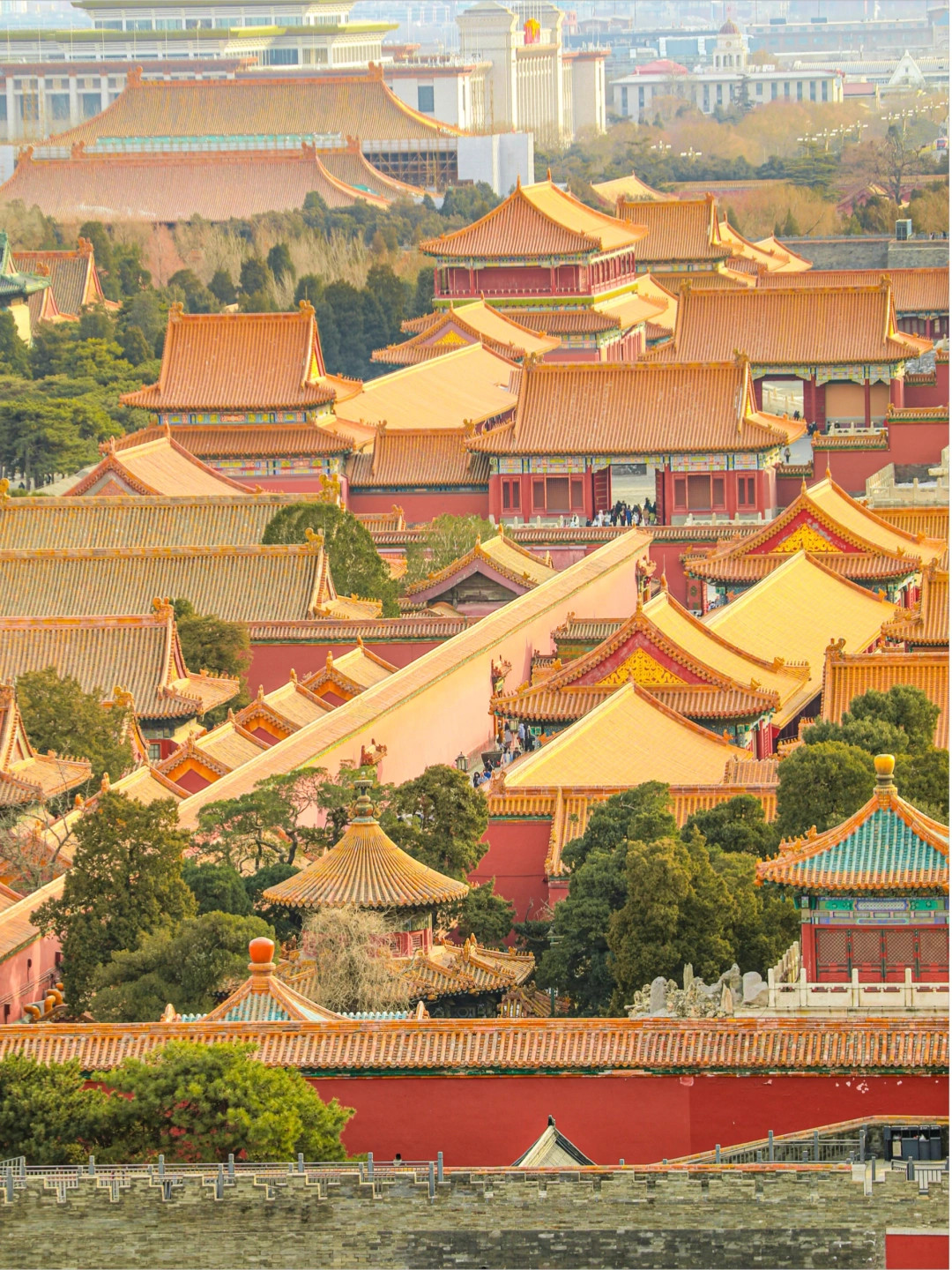 这绝对是我在北京花的最值得的2块💰！