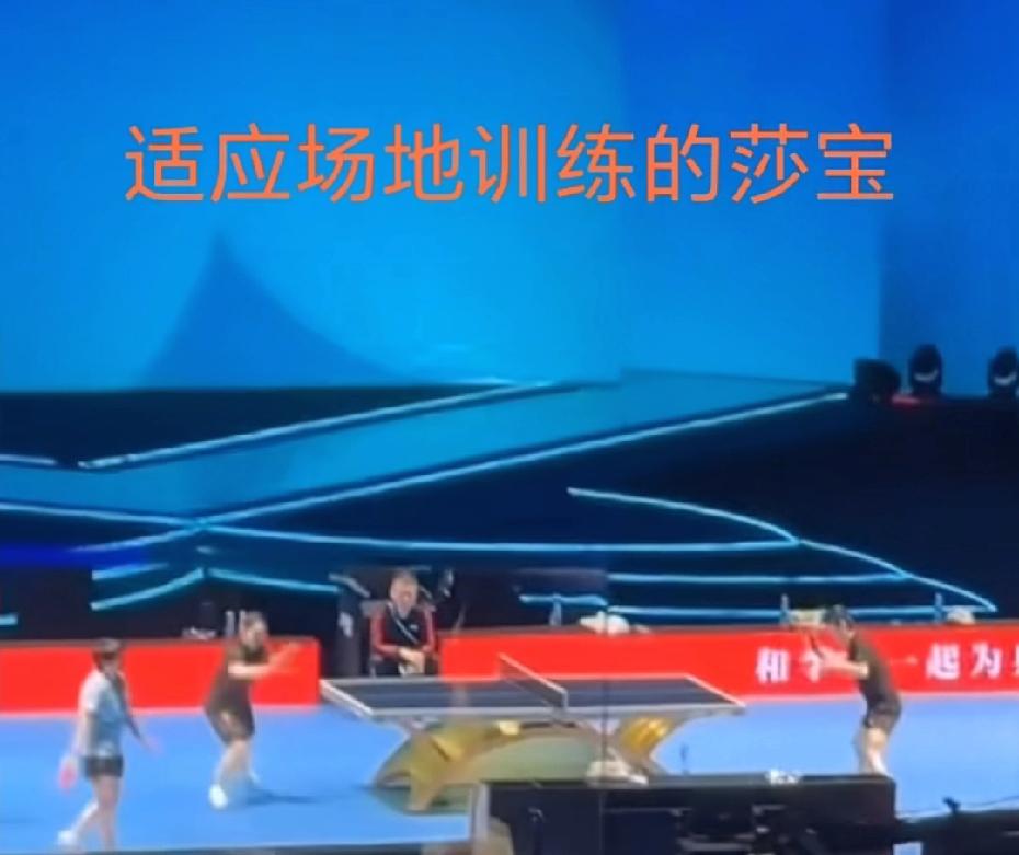 3月28日，新鲜的小莎上训了，进行场地适应性训练！和佳佳还有小蘑菇一起训练，这次