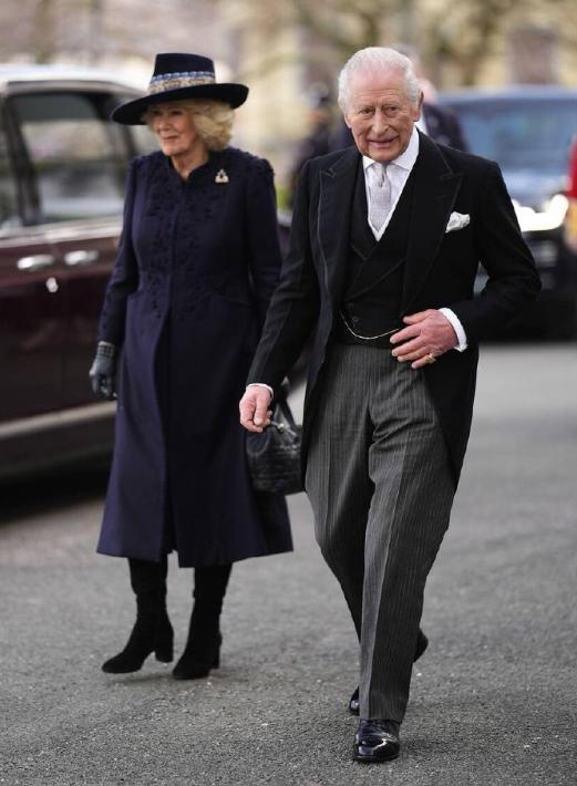 年少不知原配好，错把米拉当成宝，回头儿孙已跑掉，说你眼光真潦草。王室御用狗