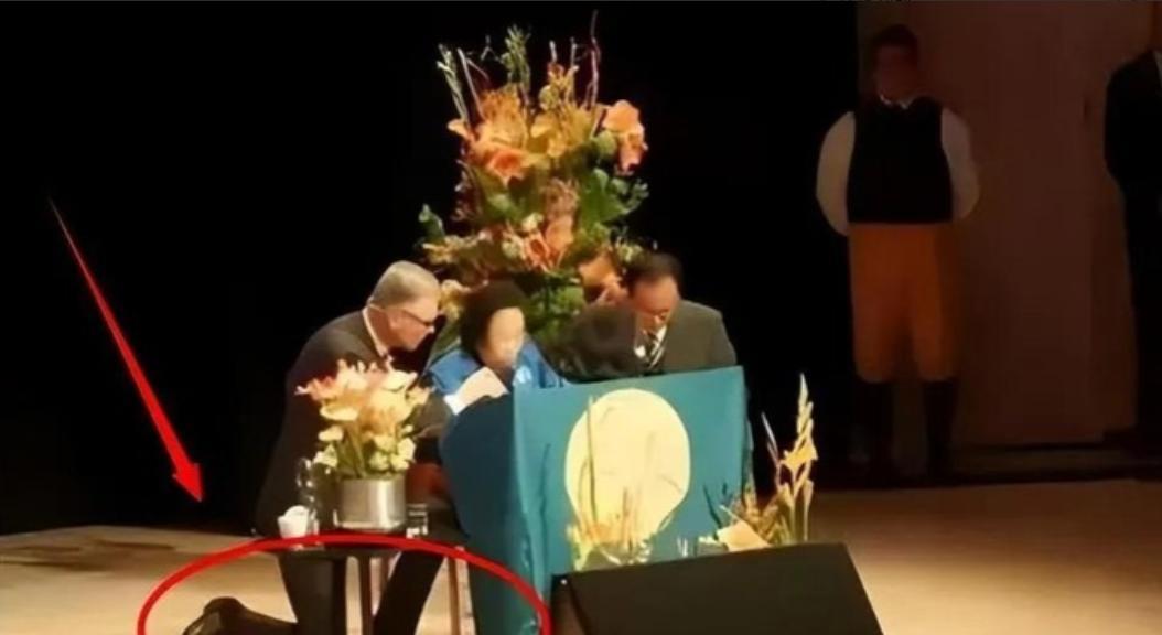 2015年，屠呦呦受邀发表演讲，可由于话筒线不够长，只能弯着腰讲话，这时，瑞典医