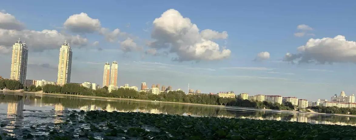 在东北老家的大房子里待了35天，游泳游了28次，腹肌都快出来了，结果姑爷单位一个