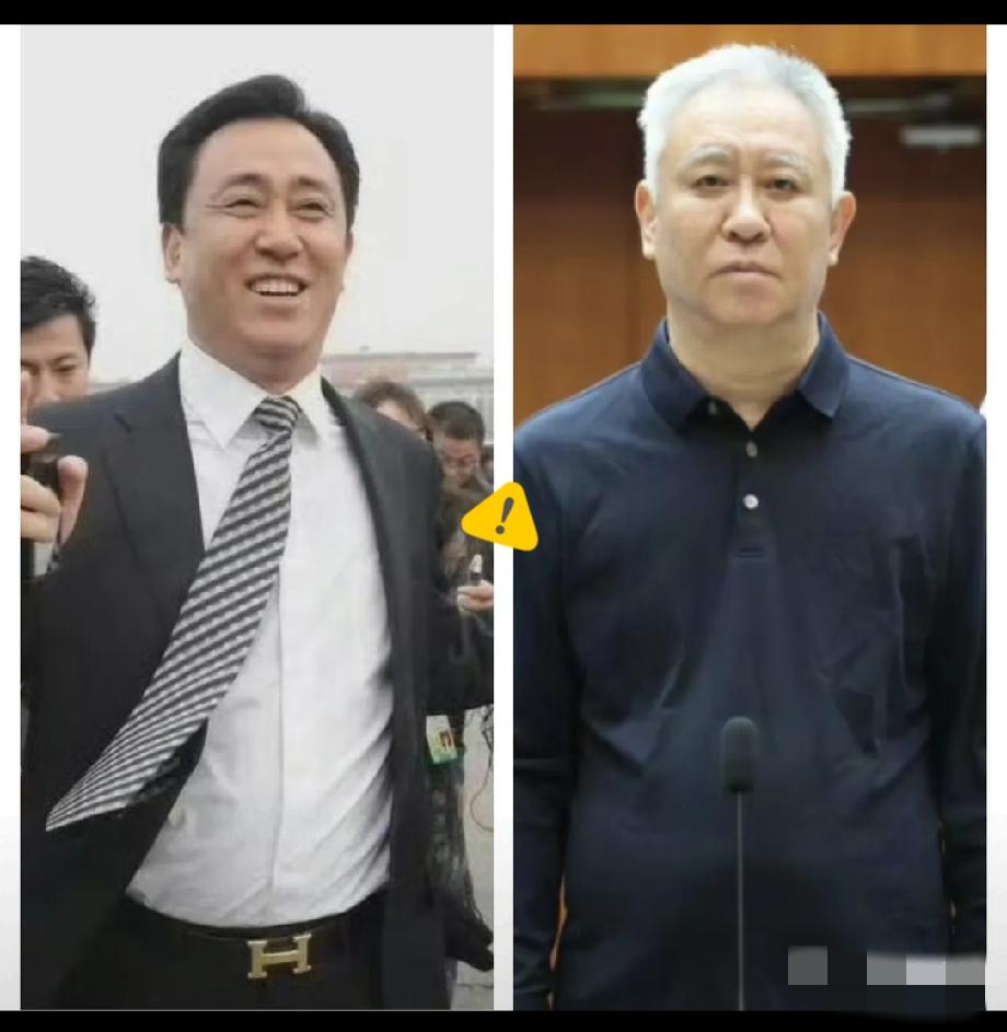 其实明眼人都看得出来许家印的头发和眉毛全都白了许家印最近出现在公众面前，
