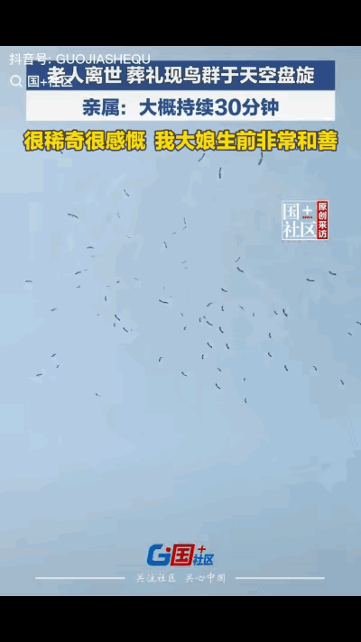 “解释不清了！”安徽淮南，一78岁老人离世，娘家人赶来奔丧时，天空中竟飞来一群鸟