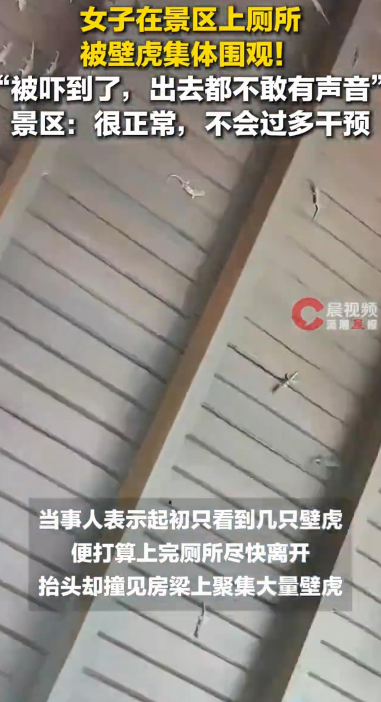 太吓人了！海南三亚，女子在景区上厕所，上完一抬头给自己吓了一大跳，只见整个厕所的