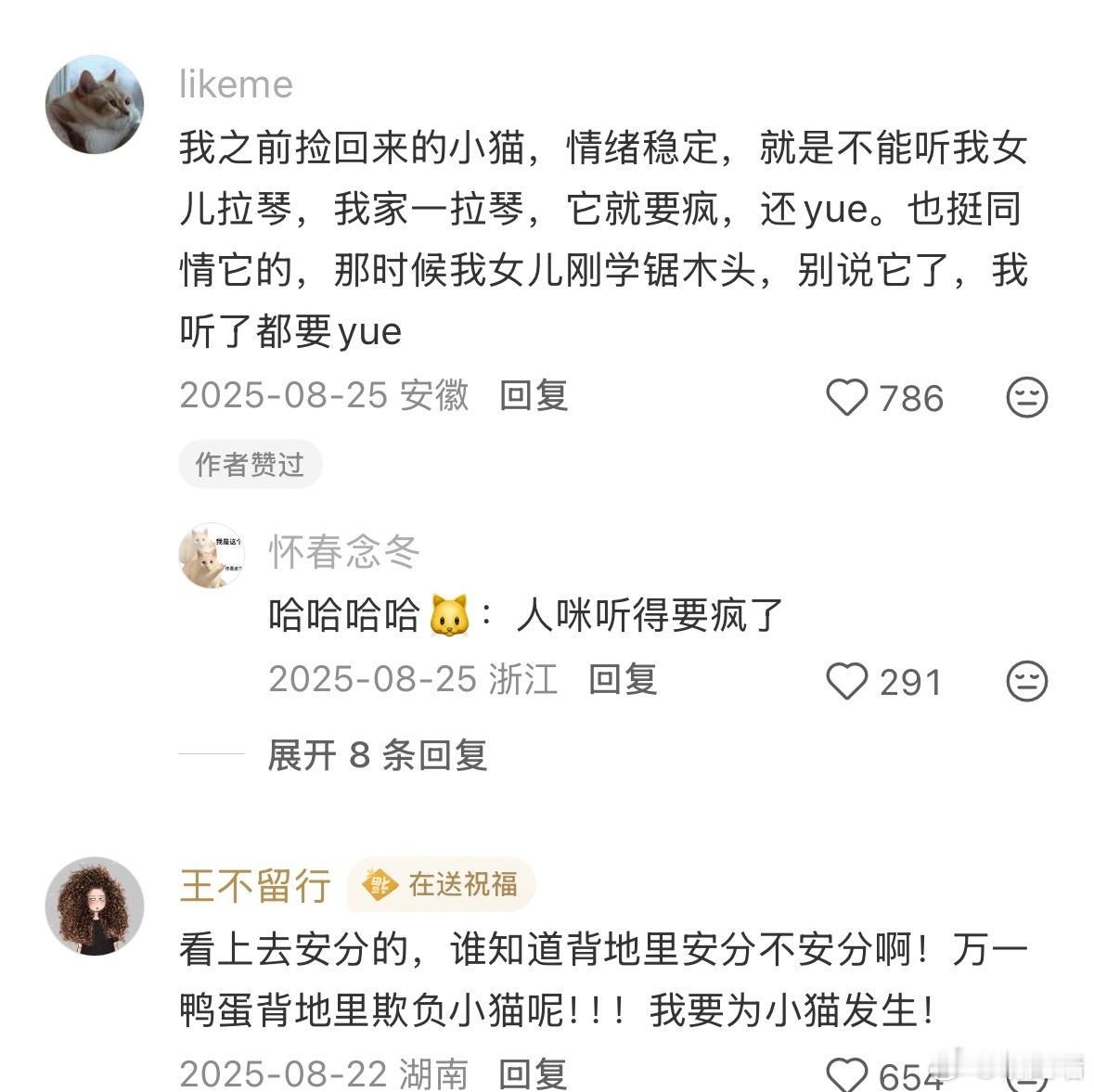 原来小猫的讨厌就这么简单