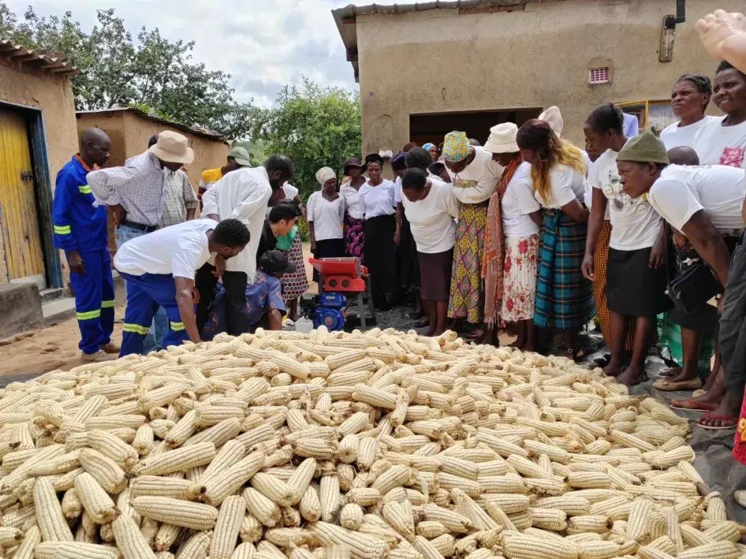 12月24日，中国外交部非洲事务司杜晓辉司长发布了几张照片，其中有一张的视觉冲击