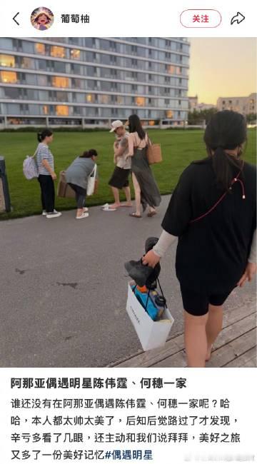 全阿那亚人都在偶遇陈伟霆何穗带娃度假！还主动和粉丝说拜拜<span c...