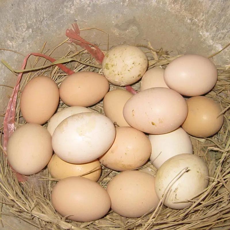 看了315以后，我对吃的特别重视，以后尽量少买这些食品。一、馒头最好自己蒸，