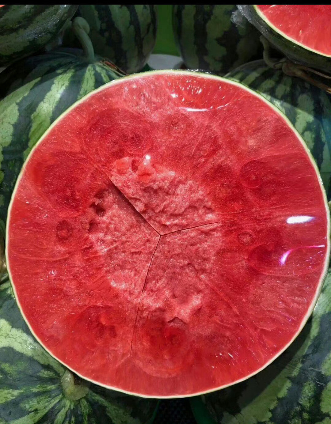 这西瓜是来报恩的吧？