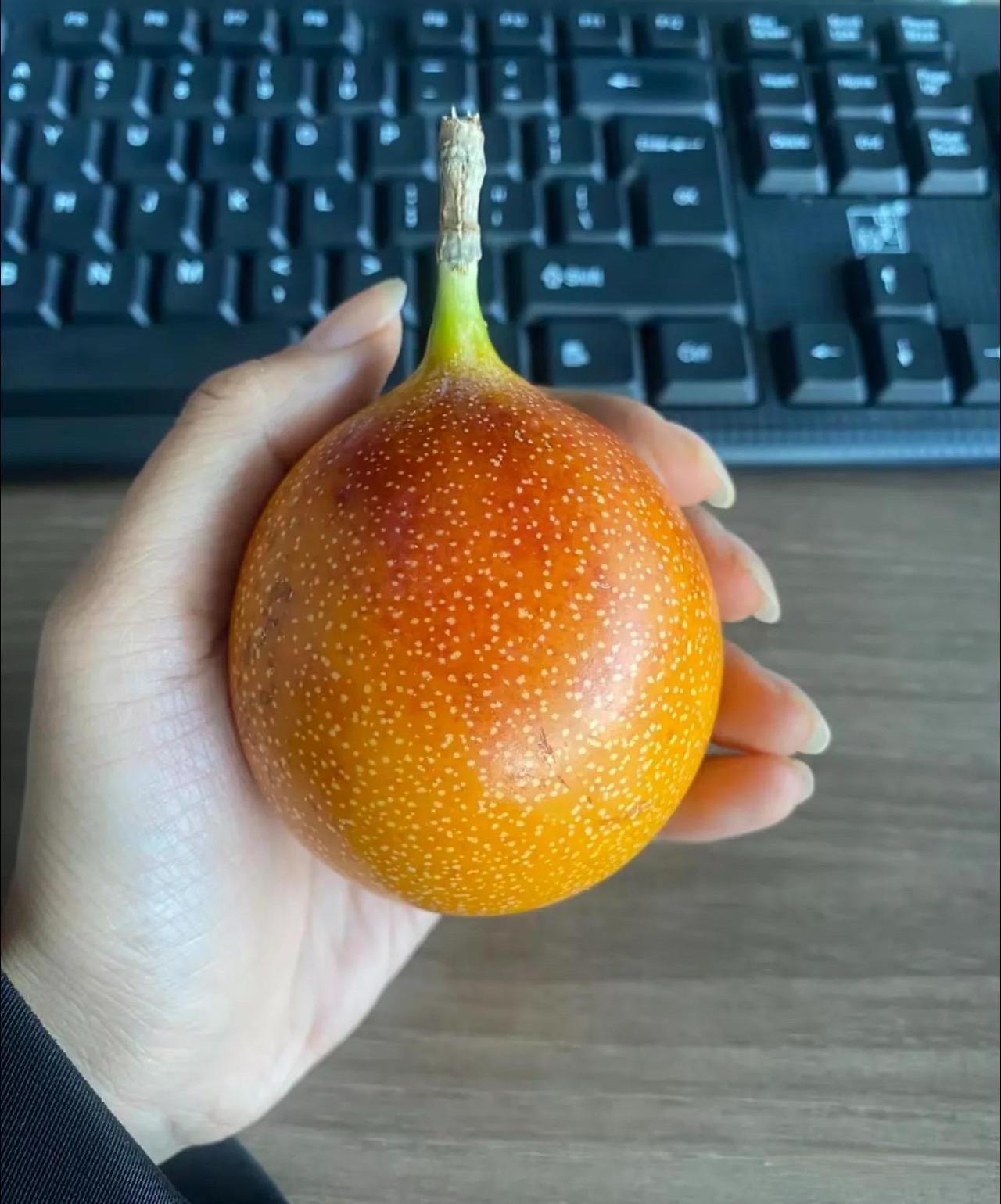 这同事给的怎么吃