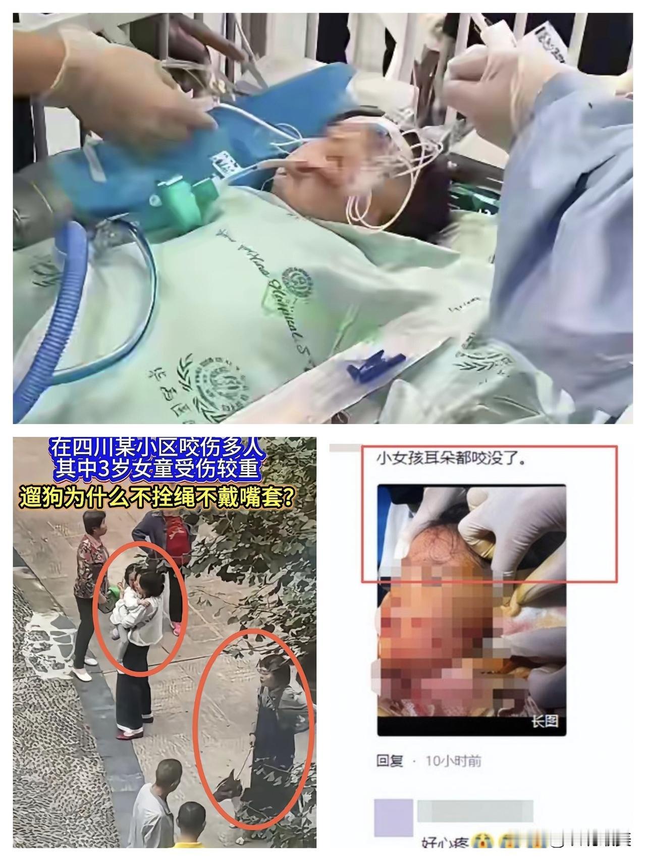 求“谅解书”？做梦呢吧！有人说牛头梗女狗主人事发后，现在很后悔，想求一份“谅解