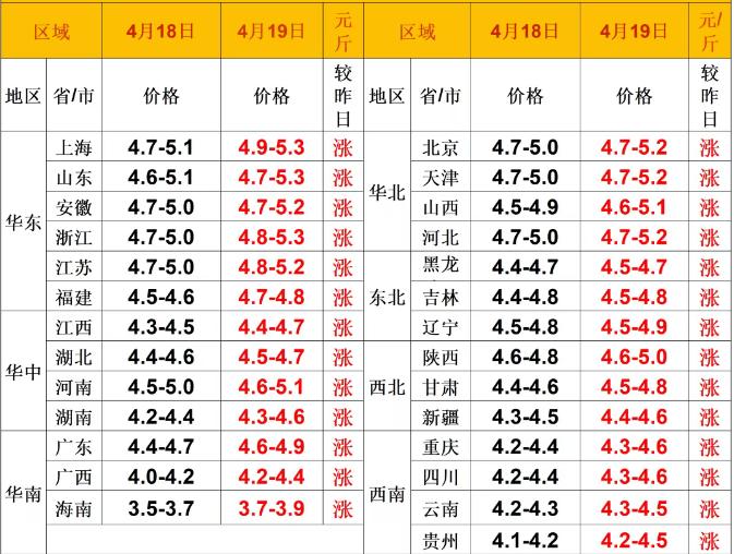 明天（2026.4.19）猪价来了，生猪价格再次“满堂红”，连续五天上涨，涨幅还