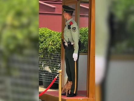 小猫，你是怎么认识武警哥哥的？#军事纪实