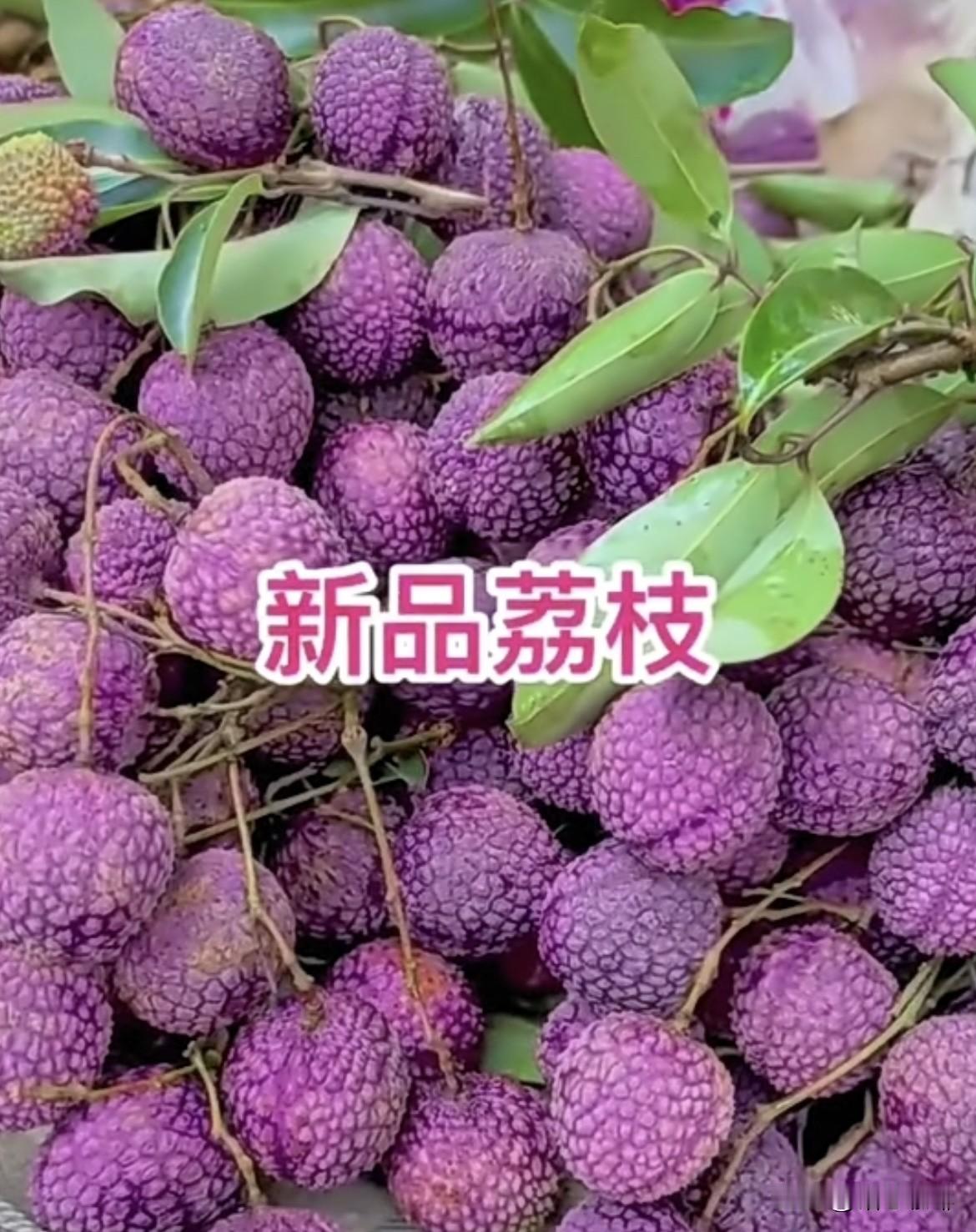 @豆包：这是什么新品荔枝呢⁉️