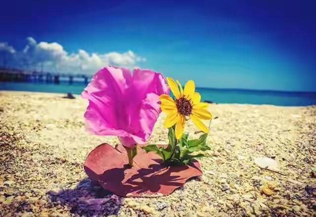 性学专家李银河说：“如果你已经50岁左右了，那么你的人生余额已经不多了，如果不