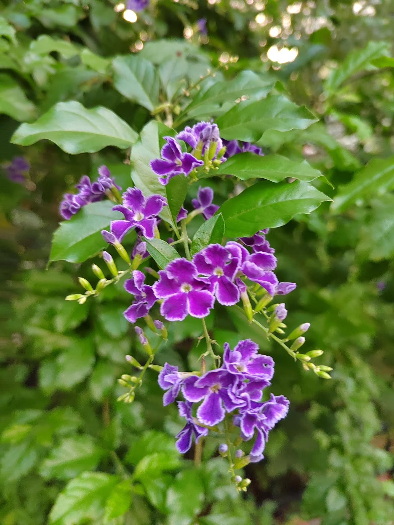 老股民送给年轻股民的十句话第一句：别追求满仓暴富，追求心安稳利天天满仓博