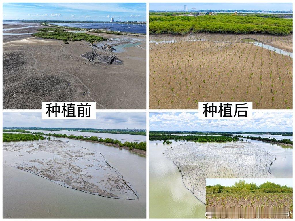 春天除了赏花，最适合干啥？当然是种树！今年的植树节，广汽本田又带着大家搞事情了，