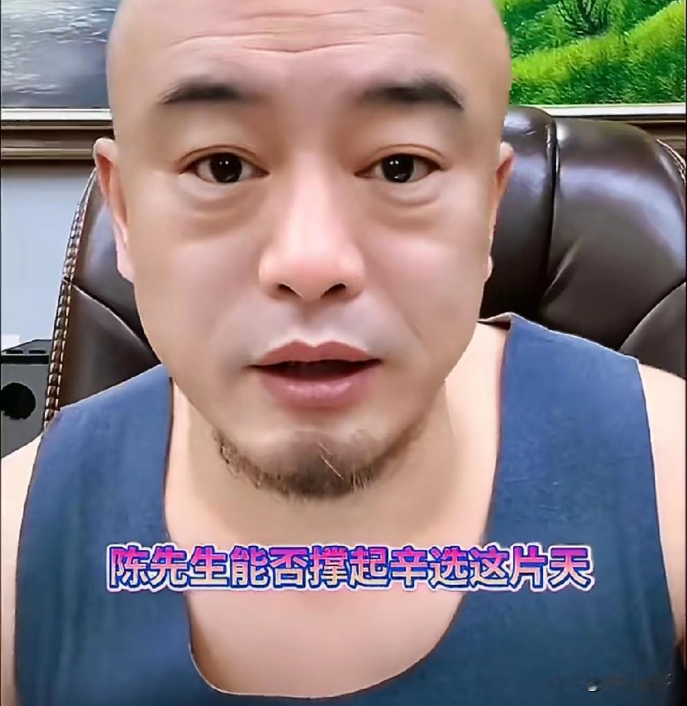 丁老五称美、蛋、狗三大主角围着伽柏都没撑起王者，夸辛巴用兵点将绝对是高手，关键时