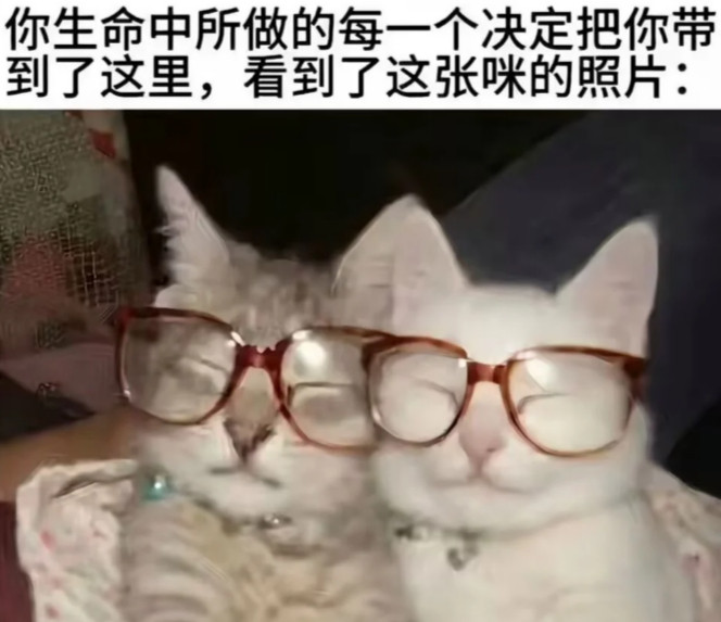 很神奇吧​​​