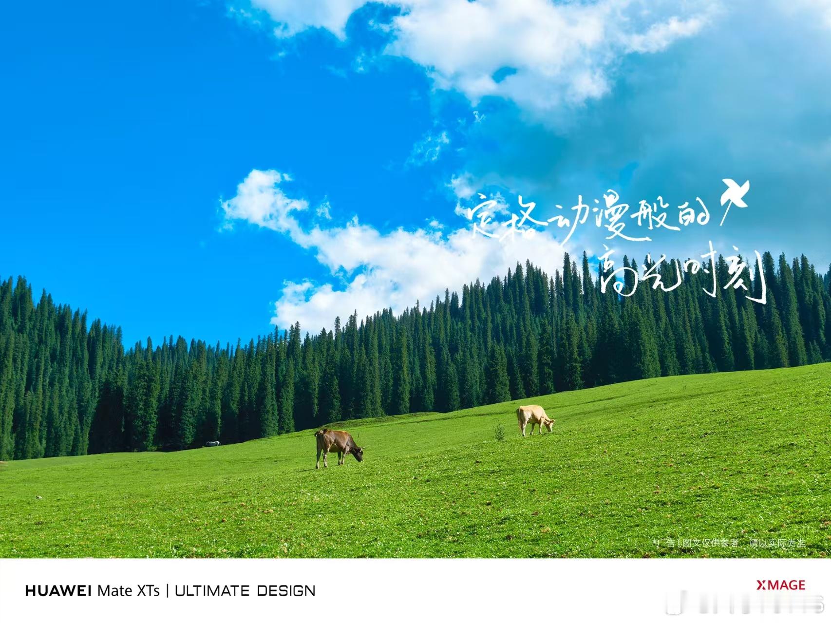 单就拍照这一块，MateXTs的体验是真的好啊。摄影素质本就优秀，加上这高清大