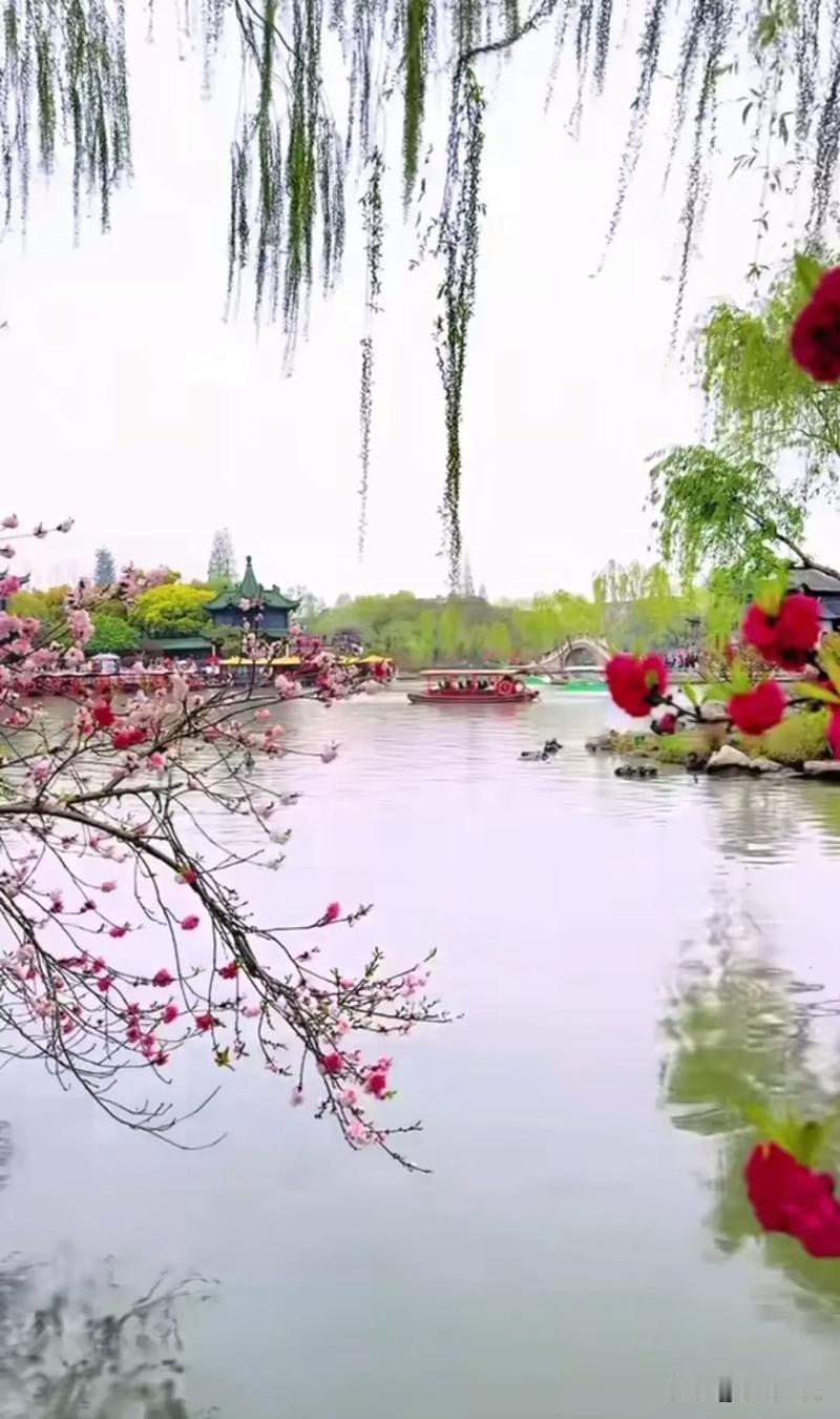 烟花三月下扬州扬州人把那条小河沟打扮的如此美丽，春天游览过瘦西湖的游客，无不为