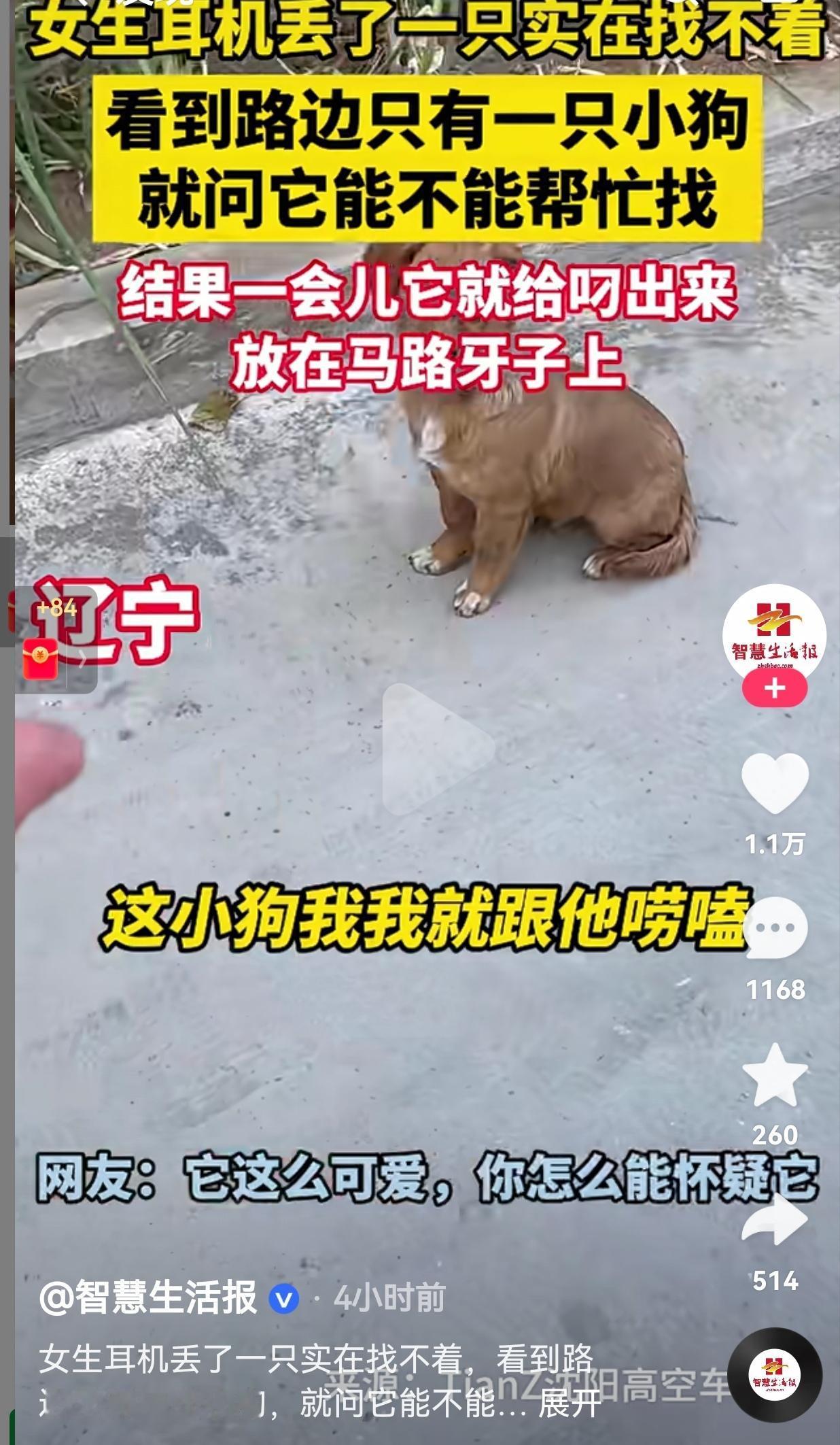 解释不清了！女生的蓝牙耳机丢了一只，自己找了半天也没有找到，看到马路旁边有一条小